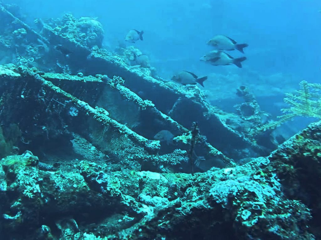 Bali Diving Tulamben Usat Liberty Wreck Dive Wandernesia