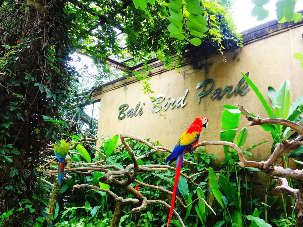 Bali Bird Park Wandernesia