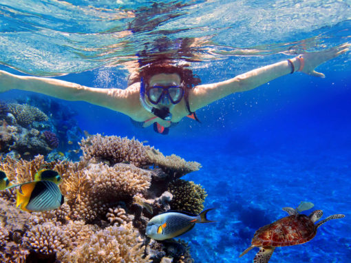 Bali Nusa Dua Snorkeling Tour - Wandernesia