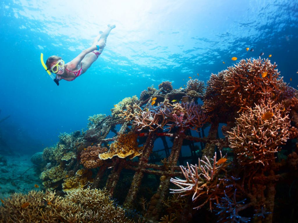 Bali Nusa Dua Snorkeling Tour - Wandernesia