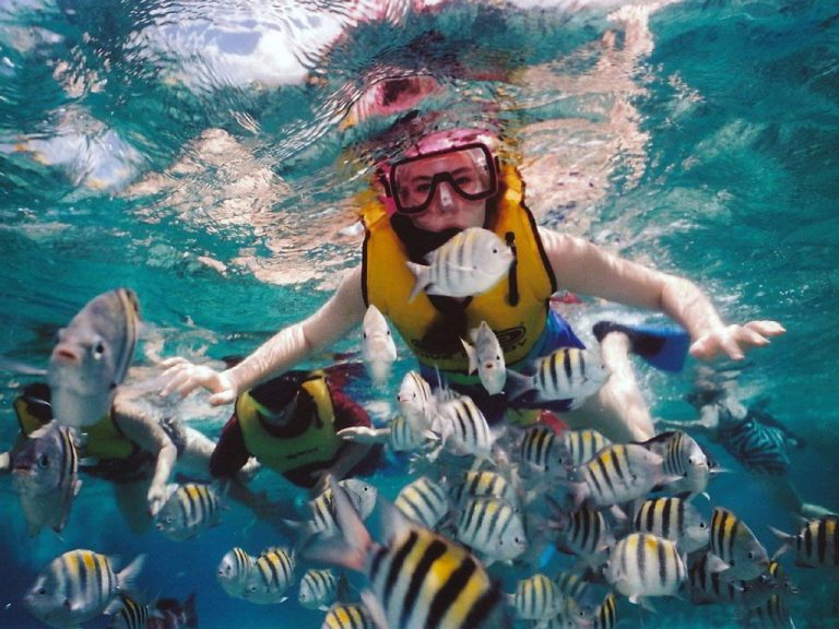 Bali Nusa Dua Snorkeling Tour - Wandernesia