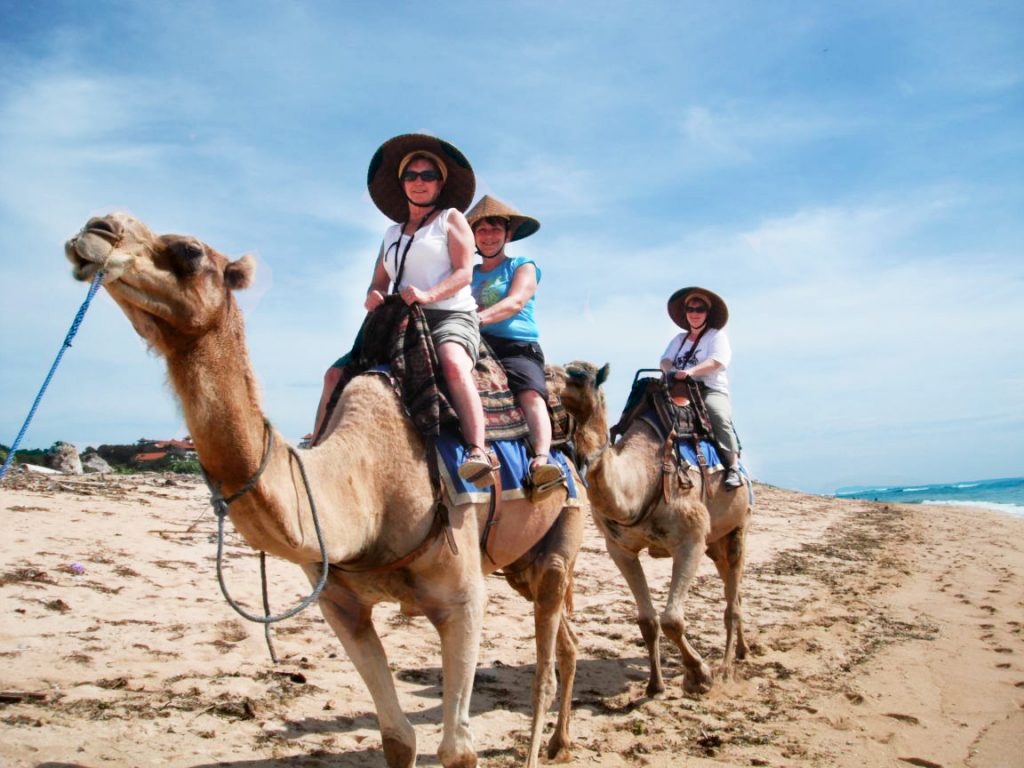 Bali Camel Safari - Wandernesia