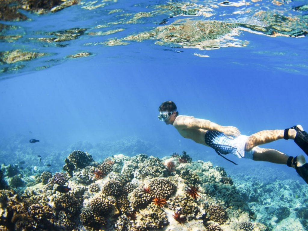 Blue Lagoon Padang Bai Snorkeling Bali Tour - Wandernesia