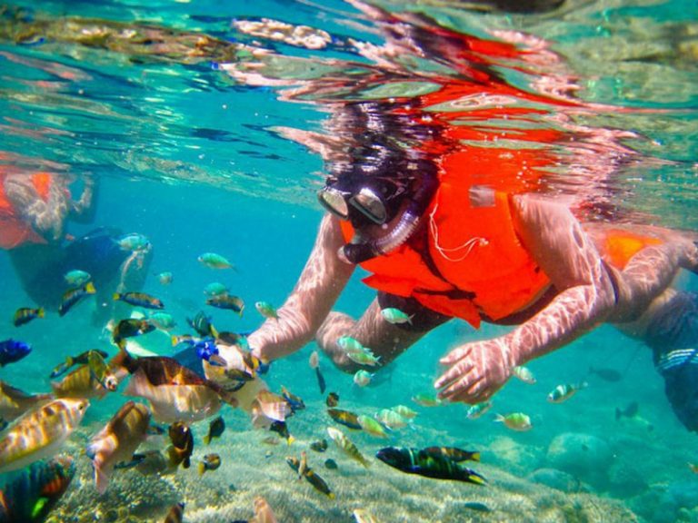 3 Gili Islands Lombok Snorkeling Tour With Private Boat Wandernesia 5933