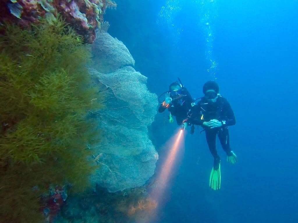 Menjangan Diving - IG @lookatmyright