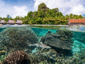 4 Days Misool Raja Ampat : Love Lagoon, Jellyfish Lake to Keramat Cave