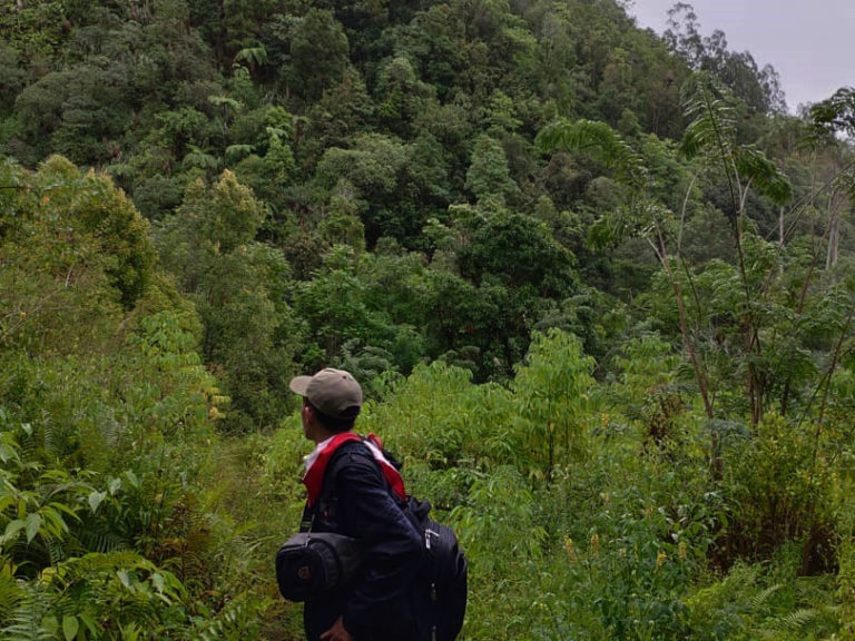 Private North Sulawesi Mount Soputan Trekking from Manado